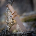 Peltonen Knives Sissipuukko M95 komposiittituppi, coyote